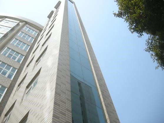 幕墻施工質(zhì)量、安全性鑒定